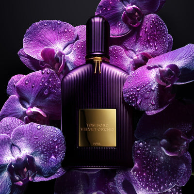 TOM FORD VELVET ORCHID FOR WOMEN EDP 100ML